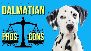 Dalmatian Pros and Cons ( The Firehouse Dog Good and Bad ) by Dog Breeds FAQ Channel 5,833 views 2 years ago 5 minutes, 48 seconds