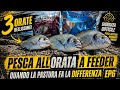 PESCA ALL'ORATA a FEEDER 🎣,quando la PASTURA fa la DIFFERENZA. #fishingvideo #fishing #fish #pesca