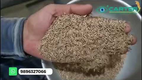 How does the process of color sorting works in our machines || Carter Unique Group