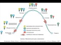 Жизненные циклы организации и оргструктура бизнеса