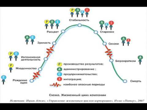 Видео: Каковы пять этапов жизненного цикла организации?