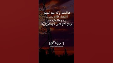 سورة النحل الآية ٣٧ الى ٤٠ بصوت الشيخ #ماهر_المعيقلي #القرآن
