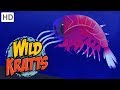 Wild Kratts 🐡 Strange Creatures | Kids Videos