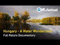 Wild hungary  a water wonderland  full nature documentary