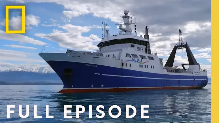 Deadly Pacific (Full Episode) | Drain the Oceans - DayDayNews