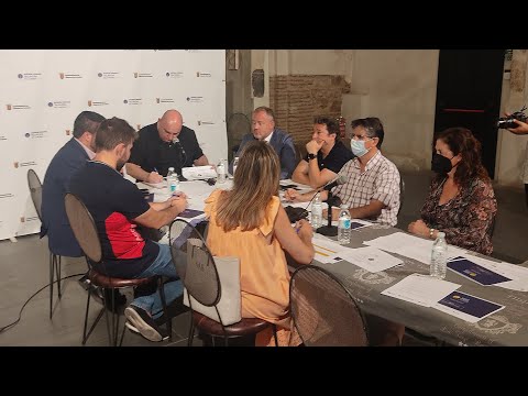 MESA DE TRABAJO 5. Desarrollo económico e innovación (08/07/22)