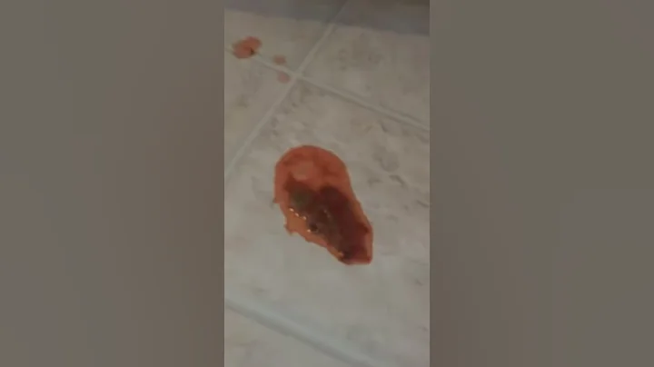 Kenneth Ambrose Veterinary - Wouldn't help sick cat
