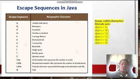 part 2 Java literals