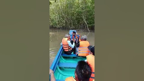 RỪNG ĐƯỚC CÀ MAU| hoà nguyễn bien