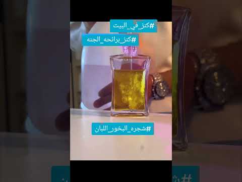 شجره من رائحه الجنه شجره البخور اللبان كنز في البيت