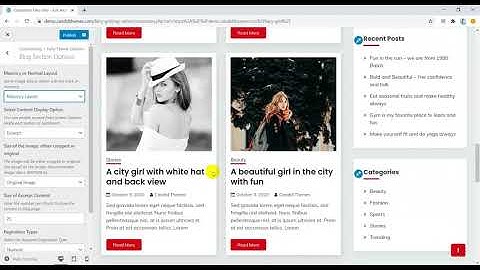Fairy Theme Options - Customizer Settings and Use