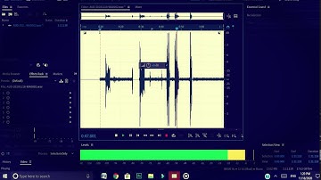 how to use autotune on adobe audition