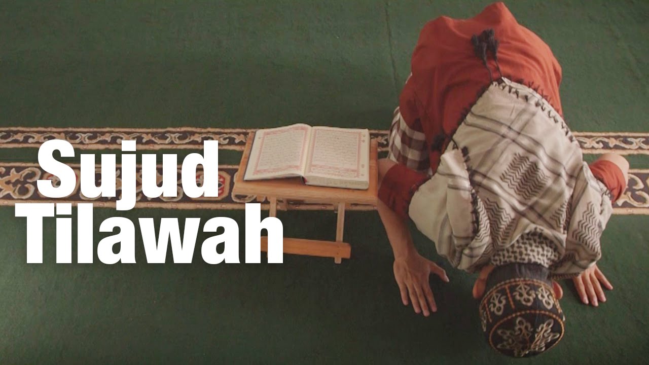 Panduan Ibadah: Sujud Tilawah