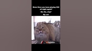 Bingo, bango, bongo, bish, bash, bosh! #cs #cs2 #counterstrike #counterstrike2 #кс #кс2 #opencase