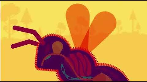 What Happens If We Throw an Elephant From a Skyscraper Life & Size 1