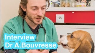 APPROCHE MODERNE DU COMPORTEMENT CANIN : interview du Dr Antoine BOUVRESSE