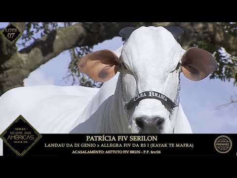 LOTE 07   PATRICIA FIV SERILON