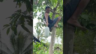 Panen Buah Langka Bligo