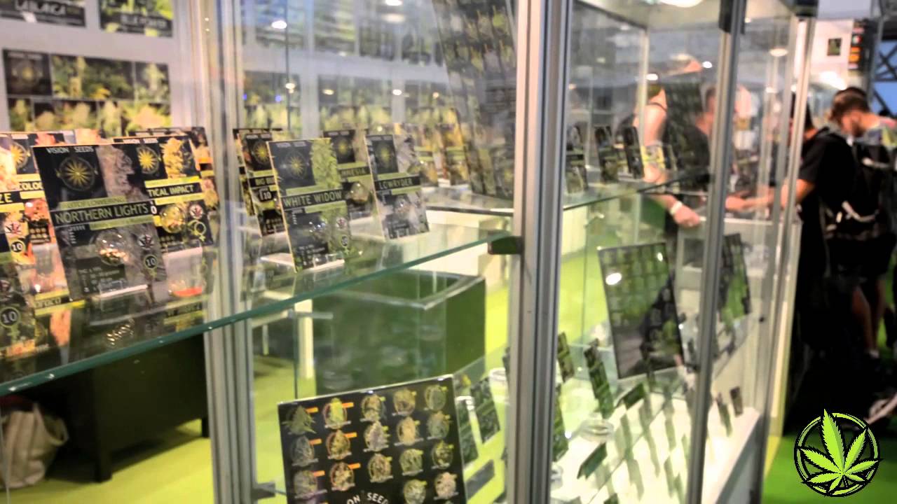 Spannabis Malaga 2015