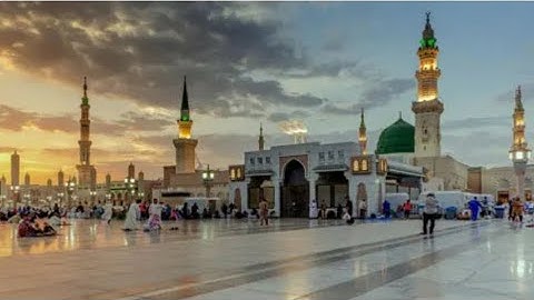 سورة الحجر | من تراويح الحرم النبوى🌙