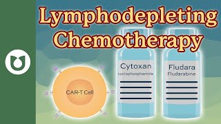 What is Lymphodepleting Chemotherapy?