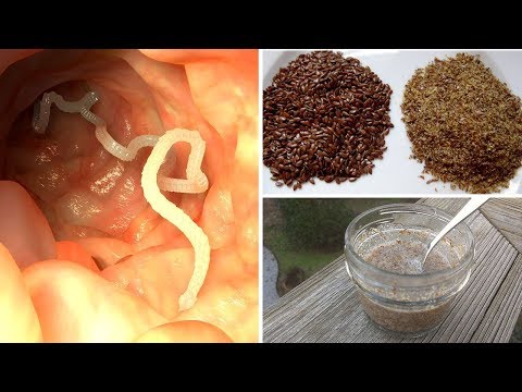 Como se livrar de parasitas intestinais receita caseira