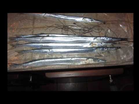 PREPARIAMO LE GUGLIE PER LA TRAINA