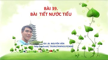 bài 39  BÀI TIẾT NƯỚC TIỂU