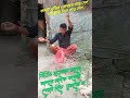 জল পড়তেই  ঝুড়ি নিচে পড়ে #youtubevideo #shortvideo #standvideo