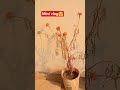 #shorts #funny #shortvideo #youtubeshorts #skgshah929 #ytshorts #viral #video #trendingshorts #yt