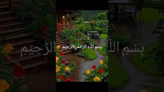 surah Ikhlas nice tilawat viralvideo shorts