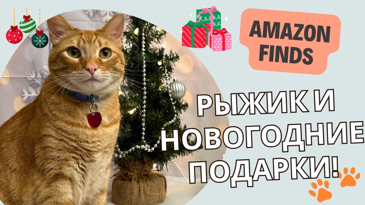 Рождественские приключения Рыжика /Распаковка игрушек для кота/ 2024 год