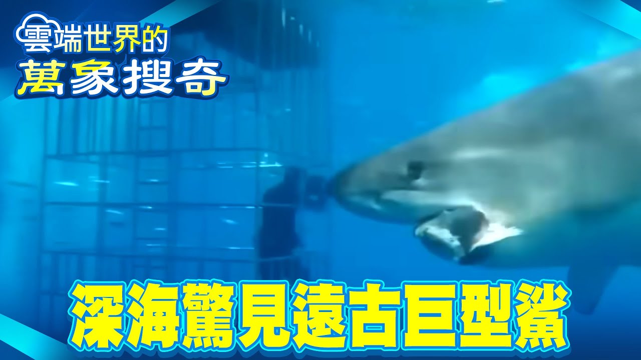 美國探索團隊潛入深海 驚見遠古巨型鯊魚進逼？／鯊魚傷人事件創新高 竟是暖化惹的禍？／比太空更未知的領域 揭開深海神秘世界？【57怪奇物語】 @57怪奇物語
