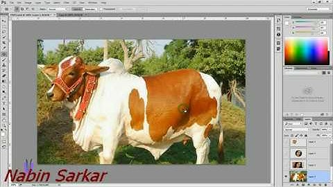 Photoshop Bangla Tutorial :  Graphic Design In Easy Way Part 2 ||
