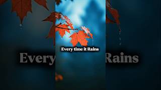 everytimeitrains #EmotionalSongs #lovingvibes #everhits #heartfeltvibes #lyrics