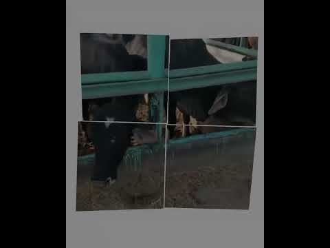 مزارع أرض الخير للتوزيع والتجارة