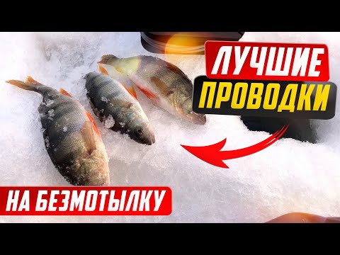 Эти проводки на Безмотылку ловят даже в Глухозимье