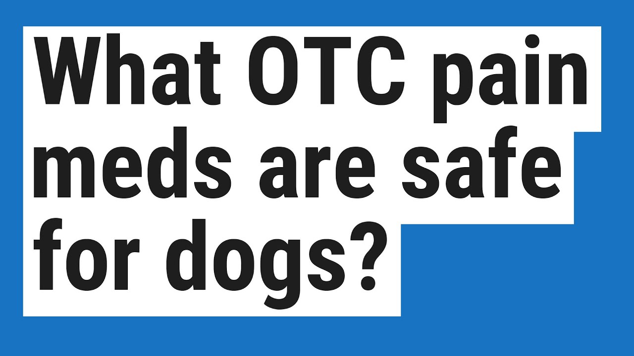 What OTC pain meds are safe for dogs? YouTube