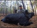 Hunting HUGE Wild Hogs! In Southeast Oklahoma!