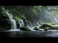 Sound of Waterfall. Nature Sounds of Water. Black Screen. 10 Hours for Sleep.