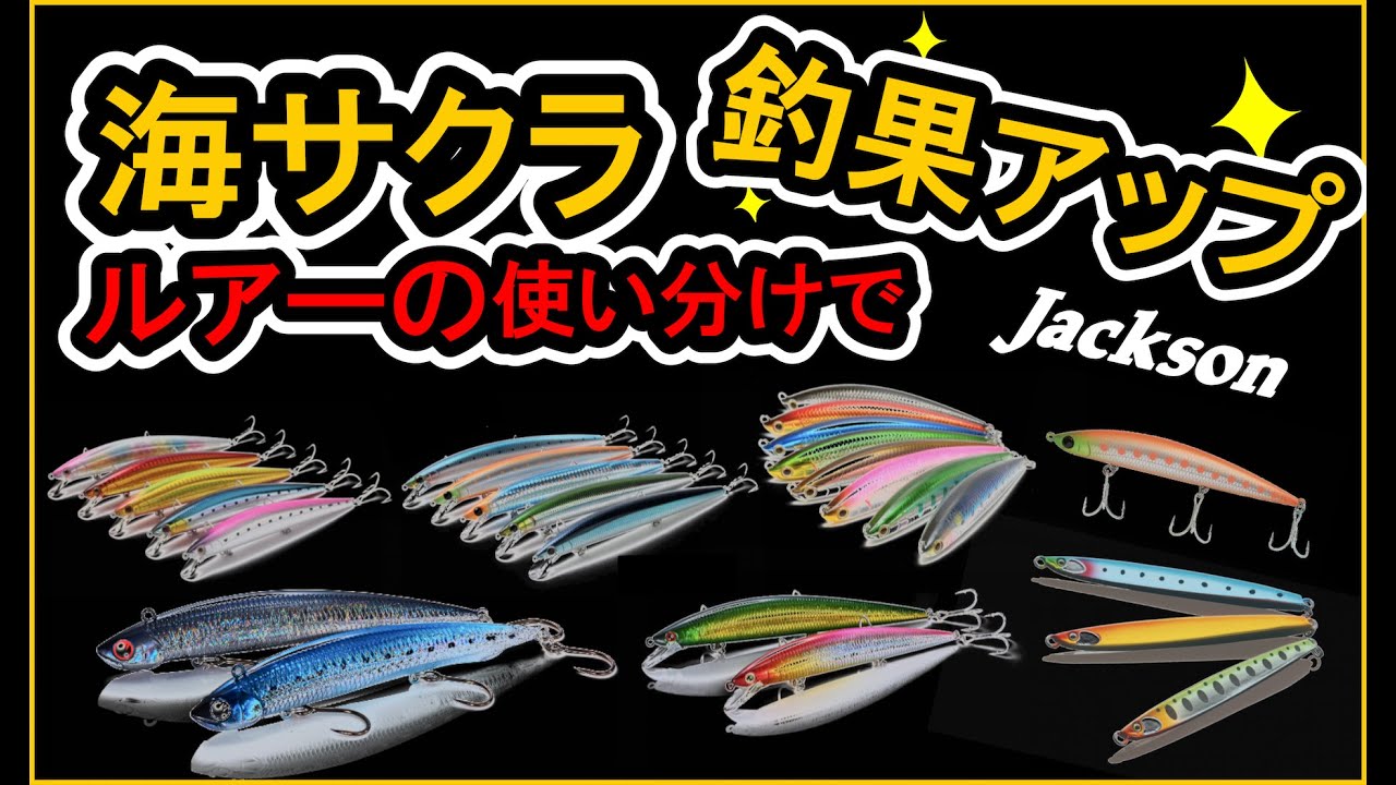 Targeting sea cherry blossoms in 2025] Increase your catch