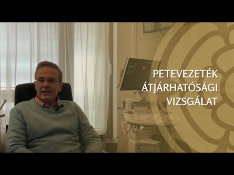 Videó: Mit jelent az átjárhatóság?