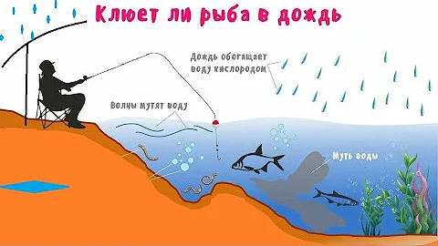 Как дождь влияет на клёв рыбы . Особенности рыбалки в дождь.