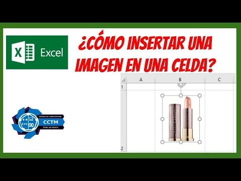 Video: Cómo Insertar Una Foto En Excel