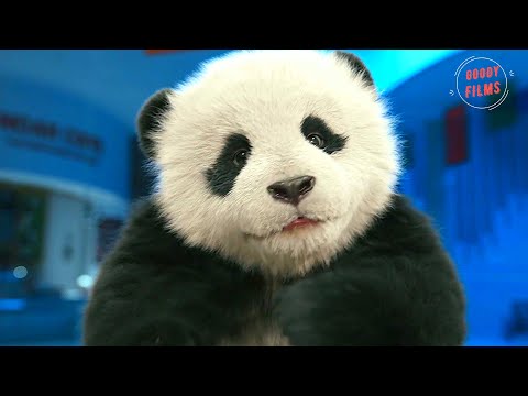 Операция «Панда» - Русский Трейлер (Дубляж, 2024)