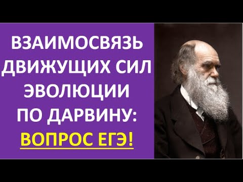 3. Взаимосвязь движущих сил эволюции по Дарвину: вопрос ЕГЭ!