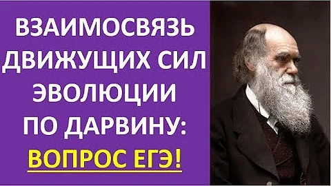 3. Взаимосвязь движущих сил эволюции по Дарвину: вопрос ЕГЭ!
