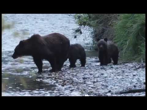 Tweedsmuir Park Lodge, Bella Coola, BC, Canada