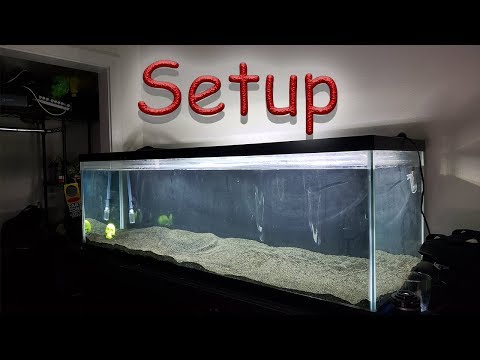 100 Gallon Predator