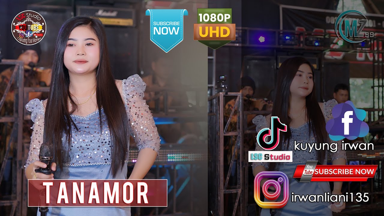 MZ MUSIK 99 TANAMOR || Wd_ NEPRI & NETRI Desa Talang Piase ( MUBA )